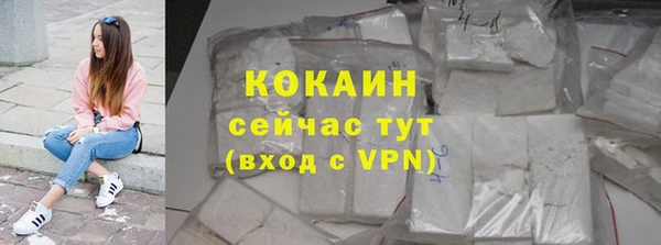 трава Коряжма