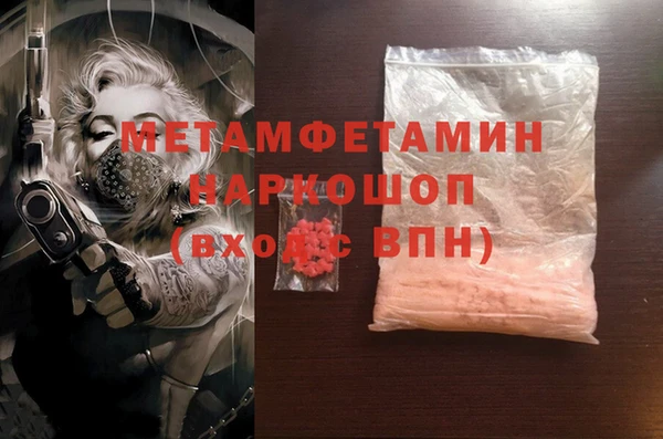 трава Коряжма