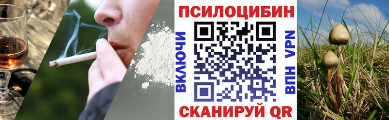 Псилоцибиновые грибы мицелий  Медвежьегорск 